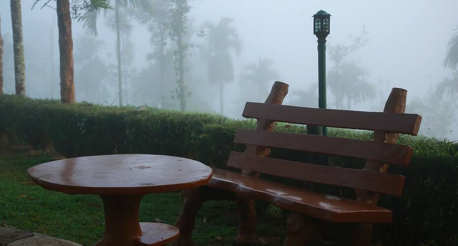 White Field God's Land Resorts, Gudalur 5